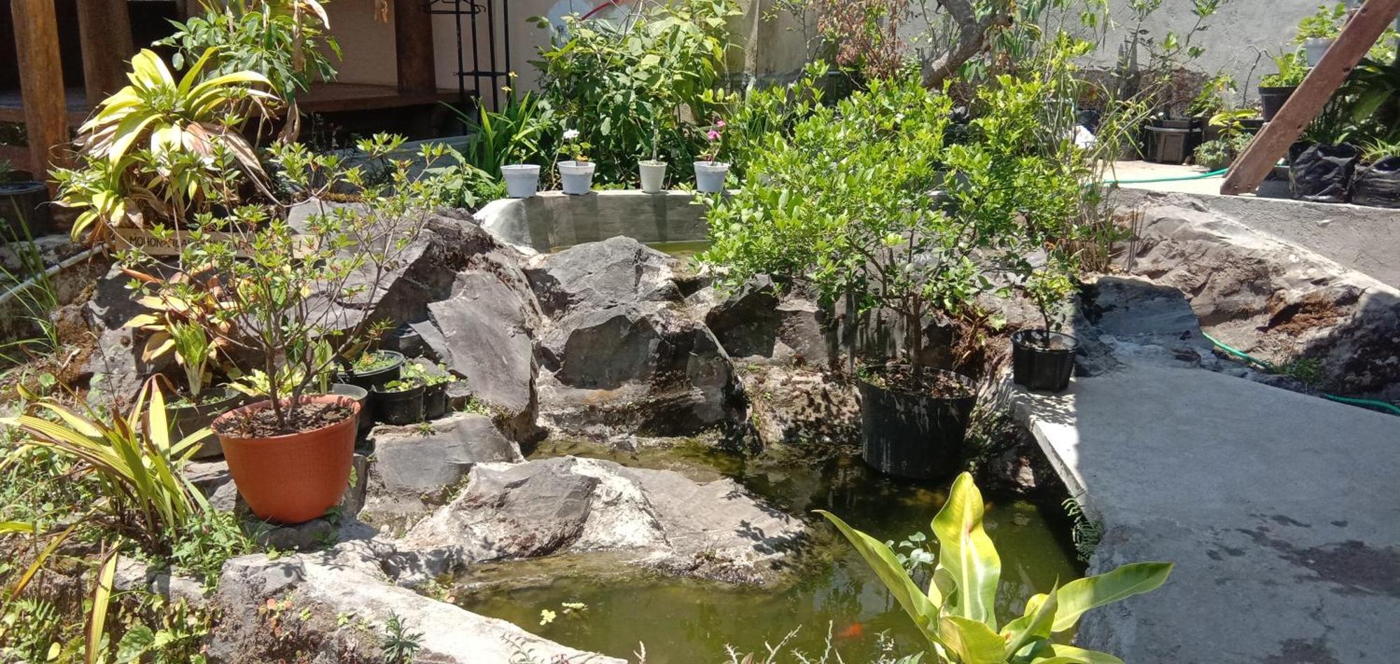 Radiya Guesthouse سيمبالون لوانج الغرفة الصورة
